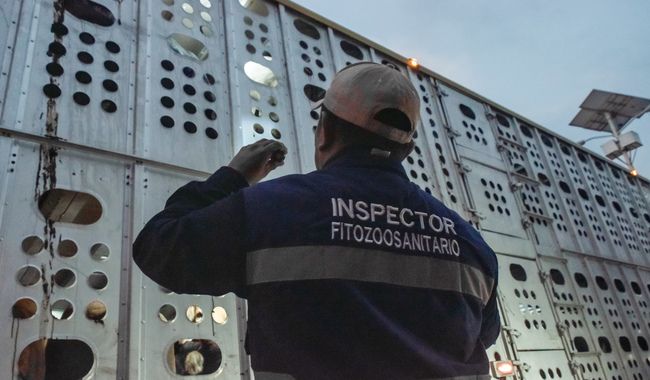 Inspecciones sanitarias frenan más de dos mil cargamentos agropecuarios por riesgo de plagas