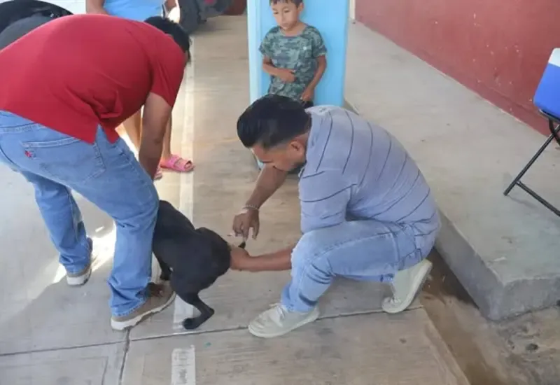 San Blas Atempa realiza jornada de salud preventiva y vacunación en Tierra Blanca
